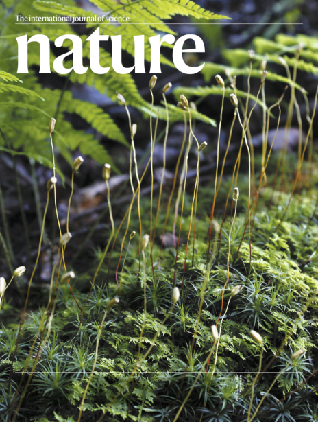 Nature_cover_251112